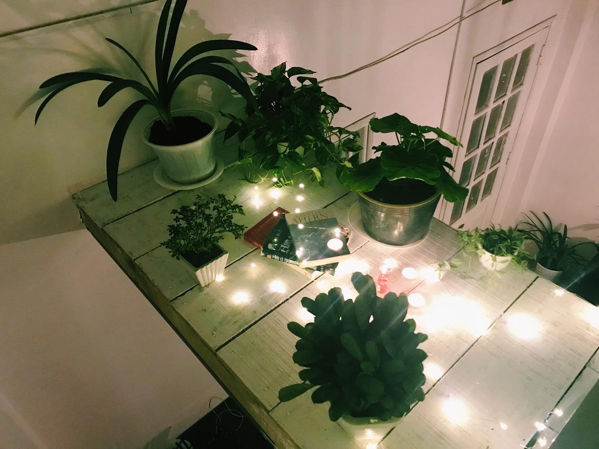 דה לאט The Balcony Bnb מראה חיצוני תמונה